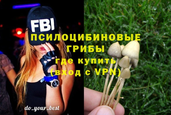 стафф Дмитров