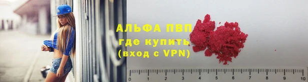 стафф Дмитриев