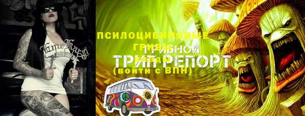стафф Дмитриев