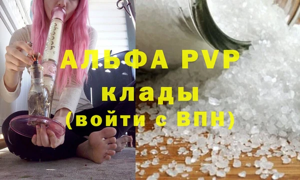 стафф Дмитров