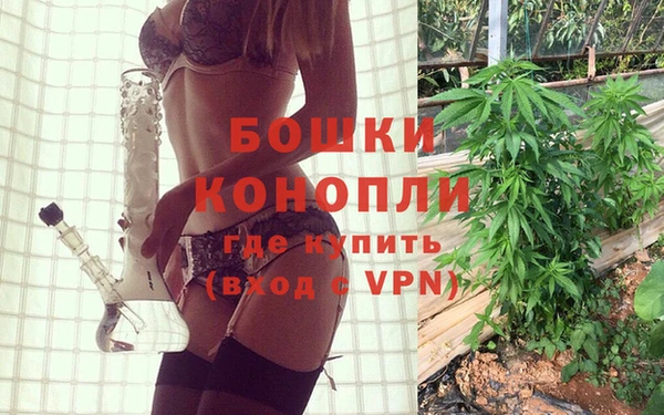стафф Дмитриев