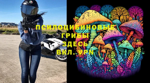 стафф Дмитриев