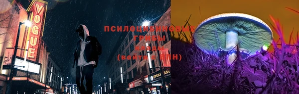 стафф Дмитров