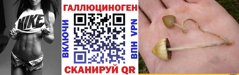 Купить закладки  Зеленоградск  Псилоцибиновые грибы ЛСД 